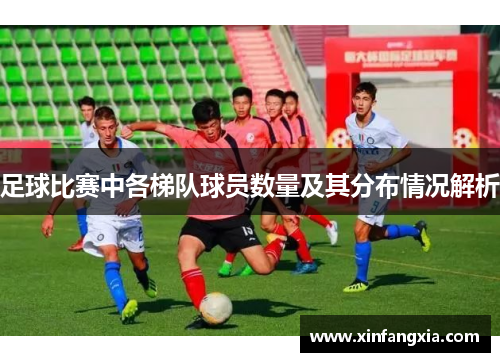 足球比赛中各梯队球员数量及其分布情况解析