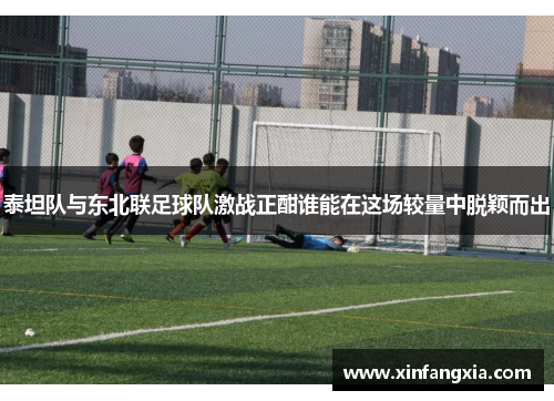 泰坦队与东北联足球队激战正酣谁能在这场较量中脱颖而出