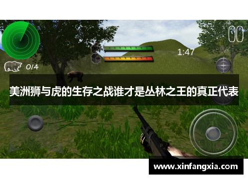 美洲狮与虎的生存之战谁才是丛林之王的真正代表