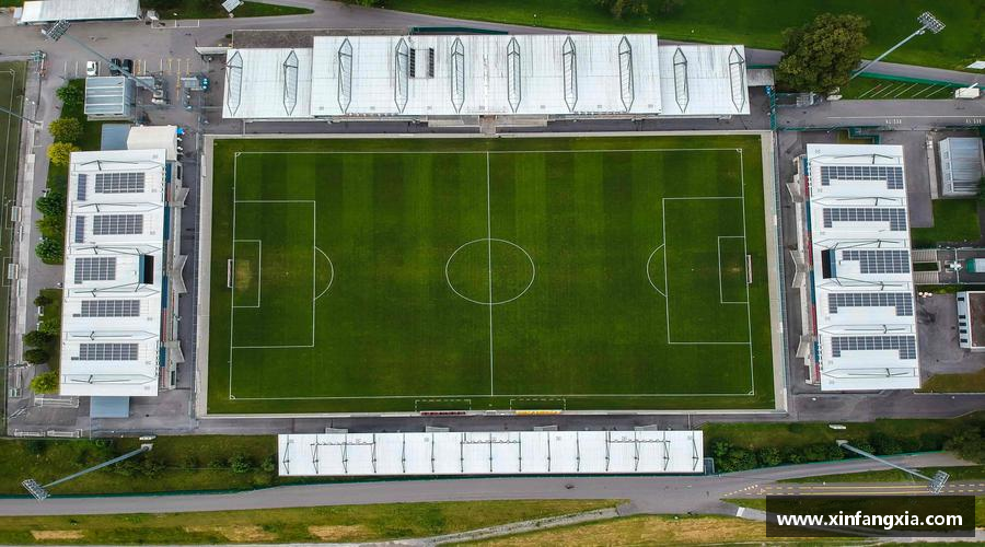 谈球吧app🌟 独家专访，幕后花絮，揭秘运动员的真实日常！